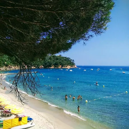 Les Stoechades Vila *